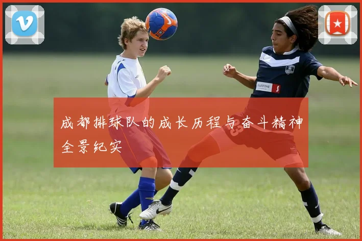 成都排球队的成长历程与奋斗精神全景纪实